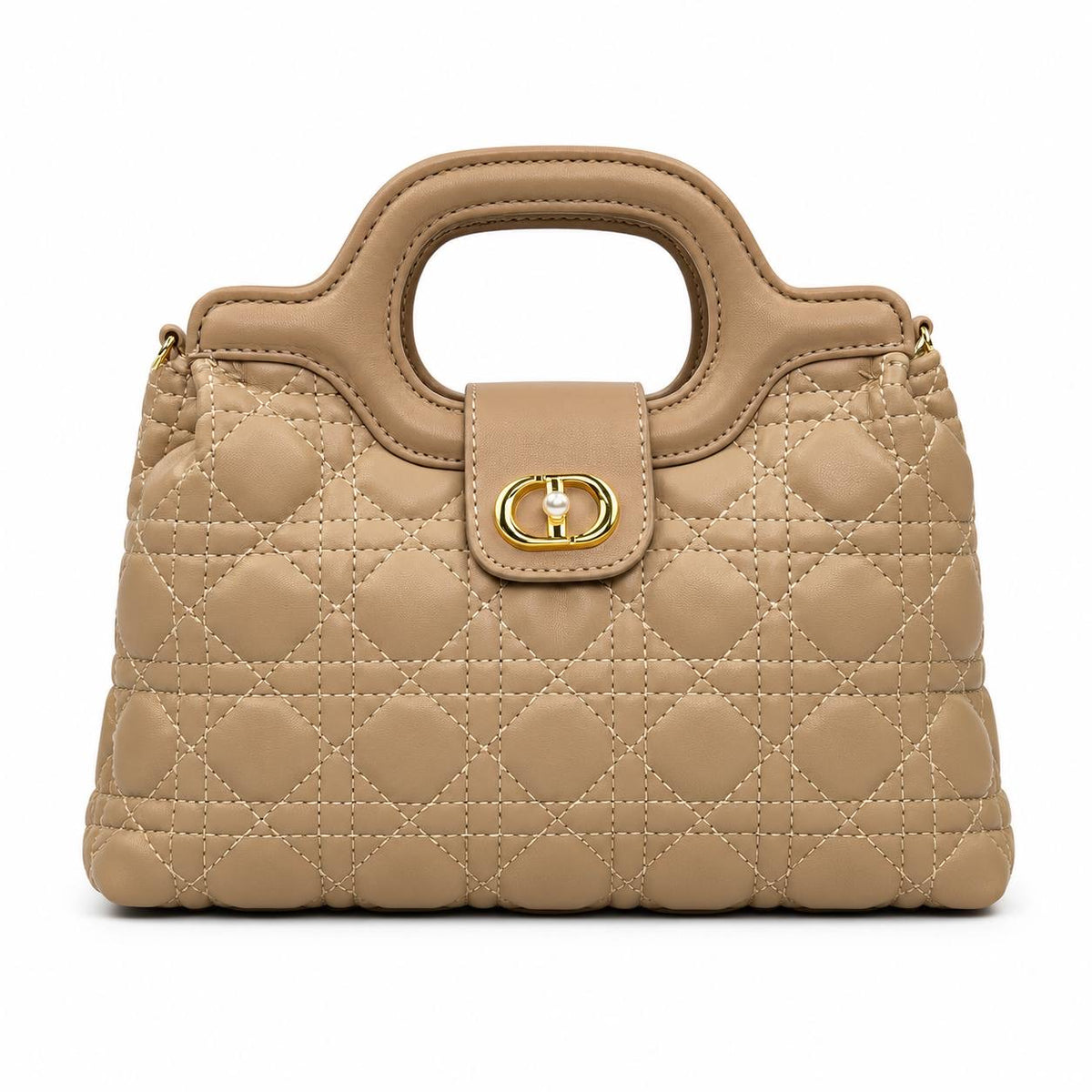 Bag Dior_225