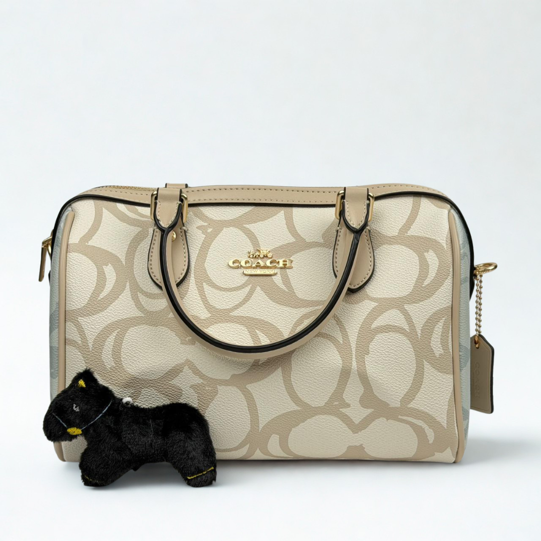 bags6611