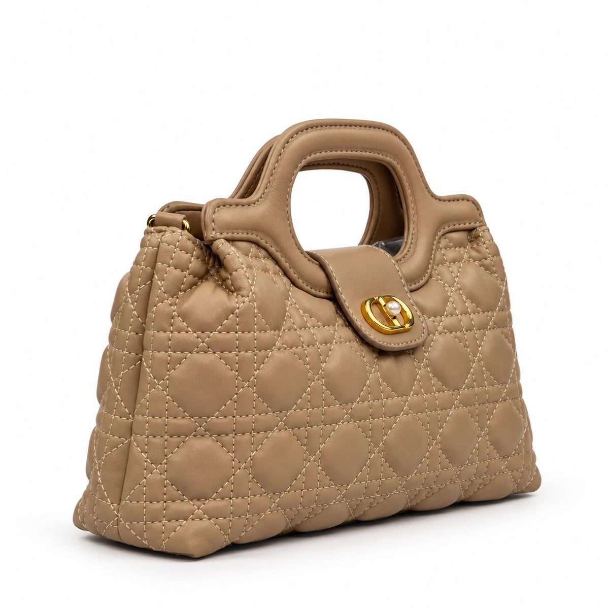 Bag Dior_225