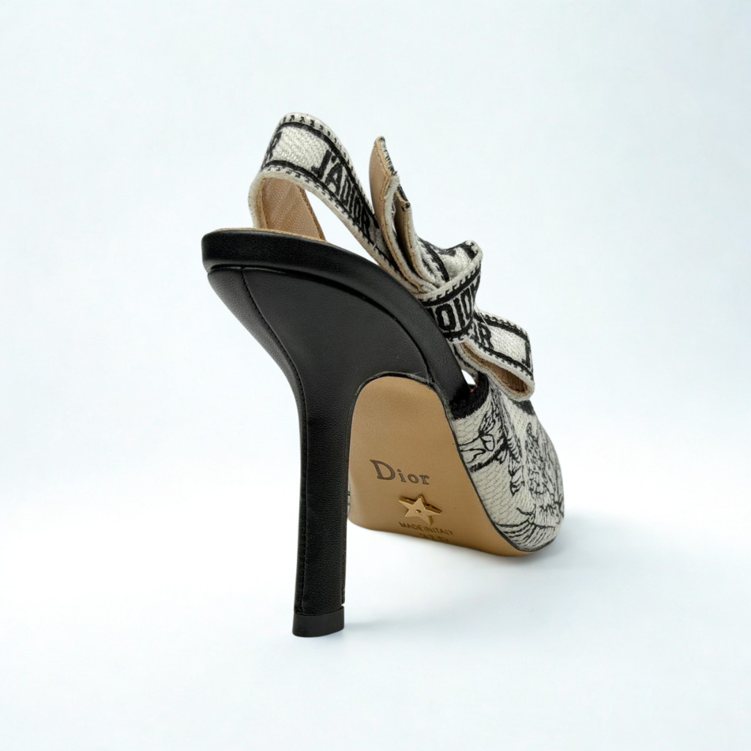Dior Heels 2