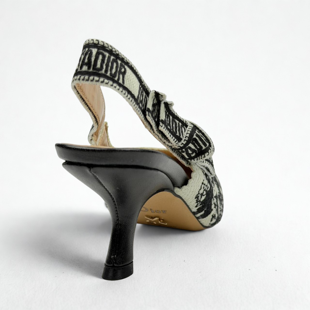 Dior Heels 9