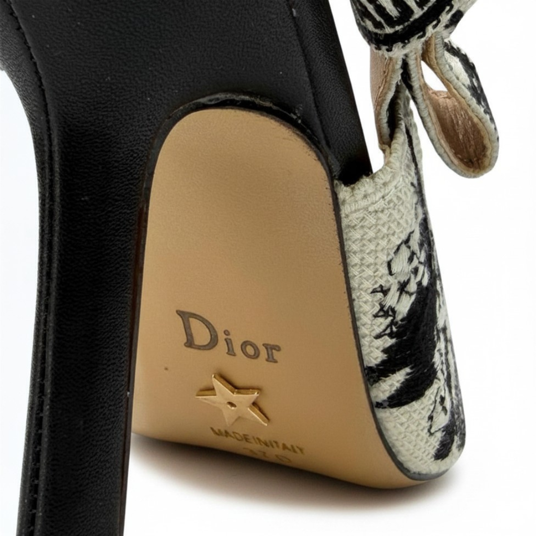Dior Heels 11