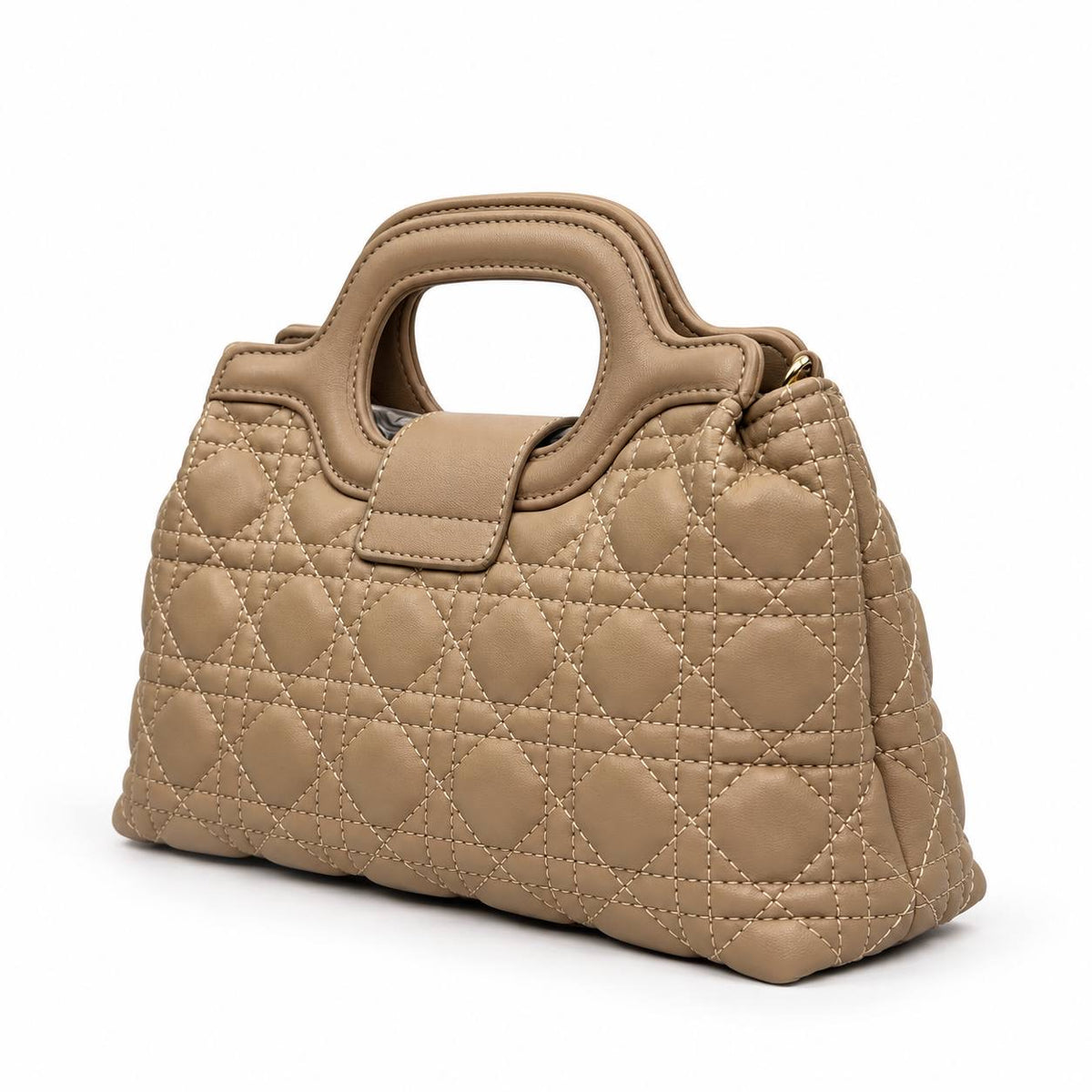 Bag Dior_225