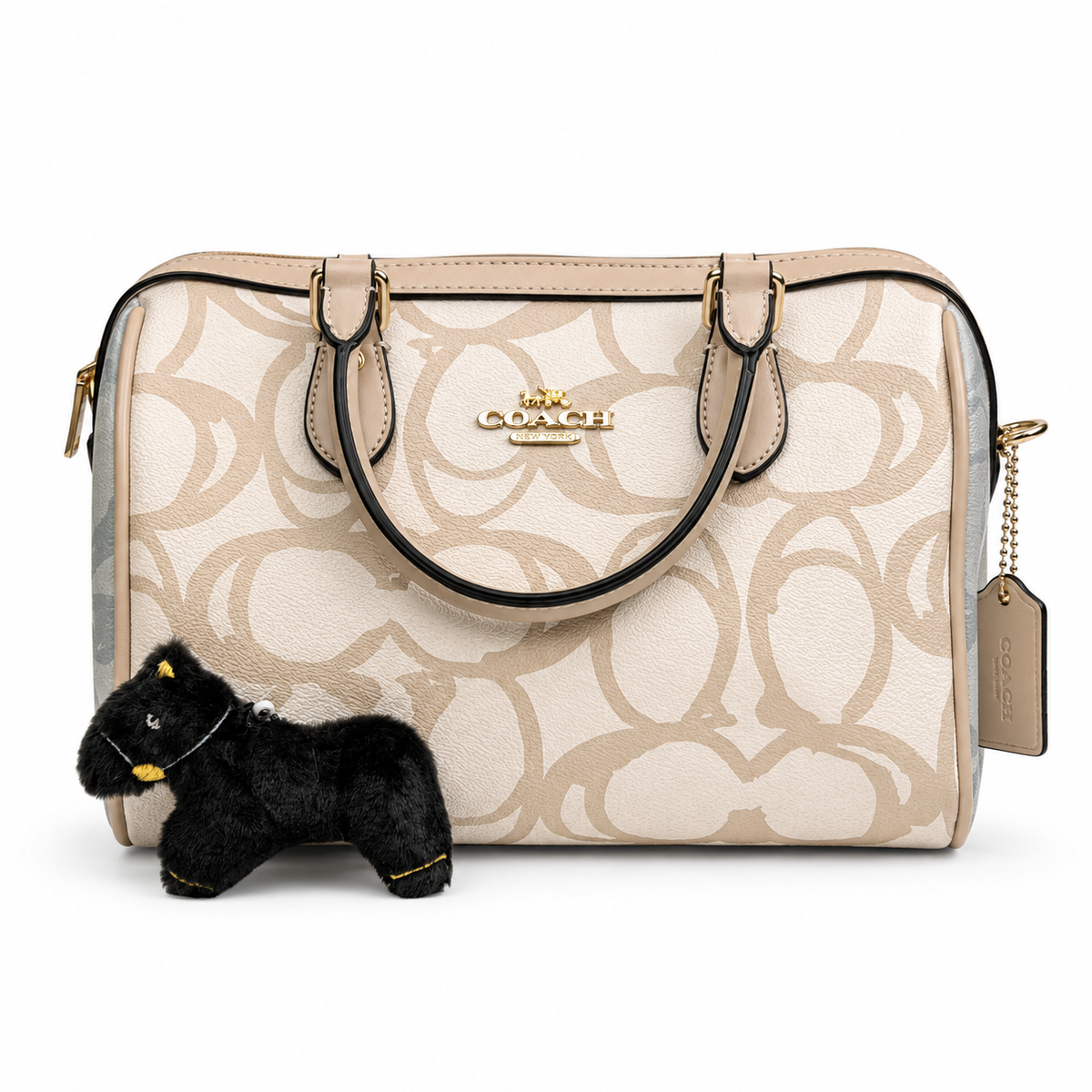 bags6611
